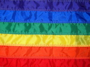 rainbow-gay-pride-flag-543733-m